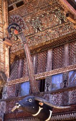 Geometrically incised decorations cover the entire front and gable sections of a traditional tongkonan. The carved buffalo head is a very typical representation found on most Torajan longhouses